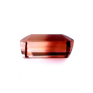 Bi-color Tourmaline 24.18ct